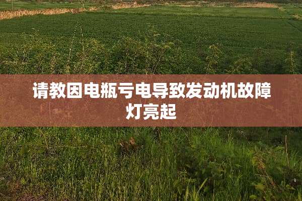 请教因电瓶亏电导致发动机故障灯亮起