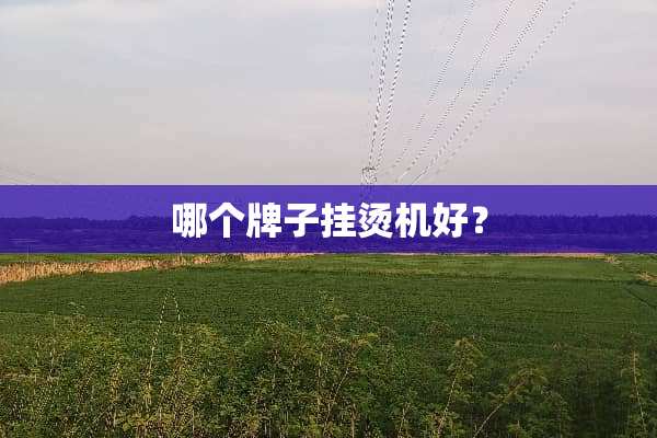 哪个牌子挂烫机好？