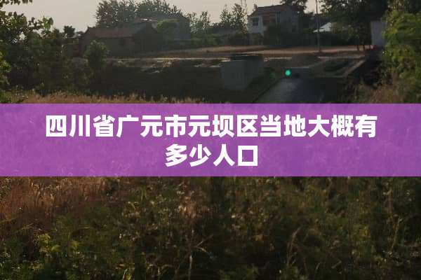 四川省广元市元坝区当地大概有多少人口