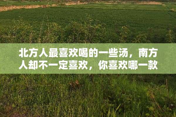 北方人最喜欢喝的一些汤，南方人却不一定喜欢，你喜欢哪一款呢？