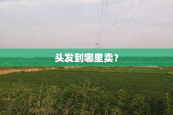 头发到哪里卖？