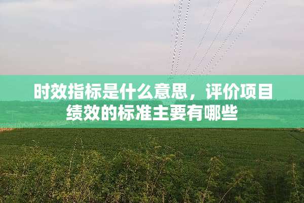 时效指标是什么意思，评价项目绩效的标准主要有哪些