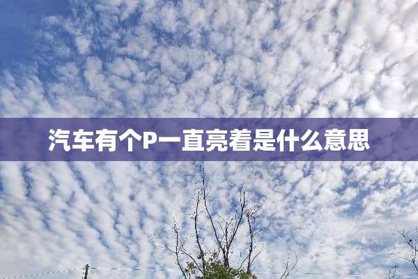 汽车有个P一直亮着是什么意思