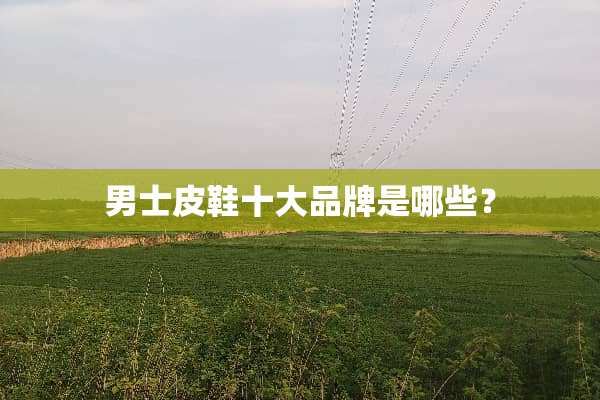男士皮鞋十大品牌是哪些？