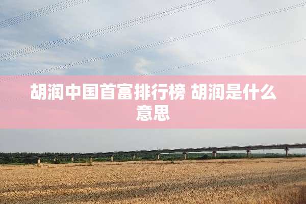 胡润中国首富排行榜 胡润是什么意思