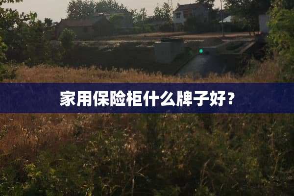 家用保险柜什么牌子好？