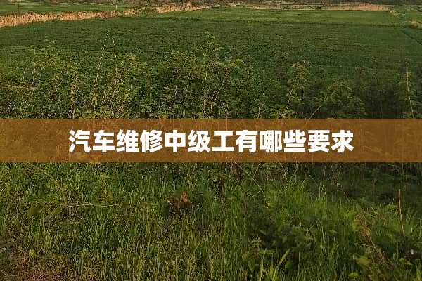 汽车维修中级工有哪些要求
