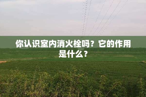 你认识室内消火栓吗？它的作用是什么？