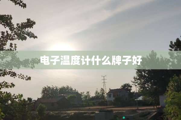 电子温度计什么牌子好