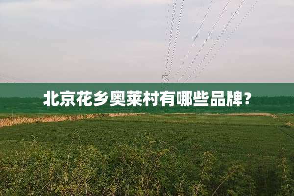 北京花乡奥莱村有哪些品牌？