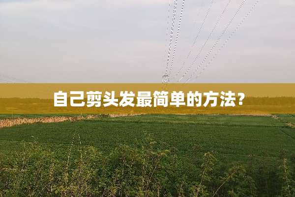 自己剪头发最简单的方法？