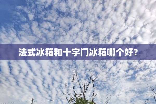 法式冰箱和十字门冰箱哪个好？