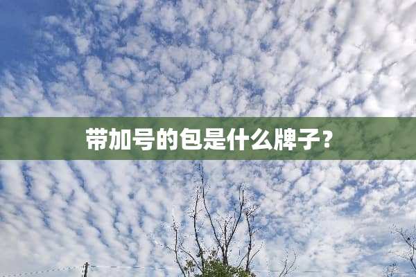带加号的包是什么牌子？