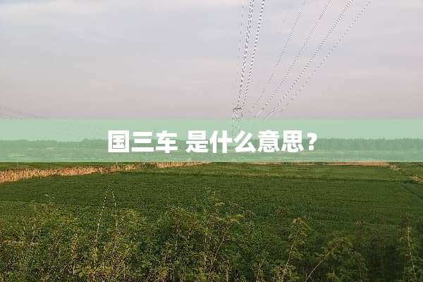 国三车 是什么意思？