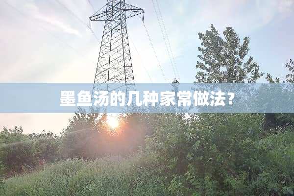 墨鱼汤的几种家常做法？