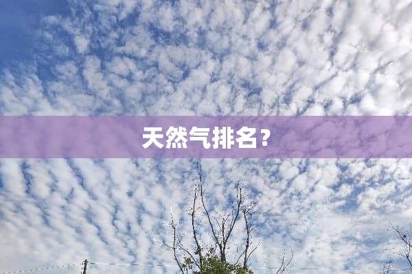天然气排名？