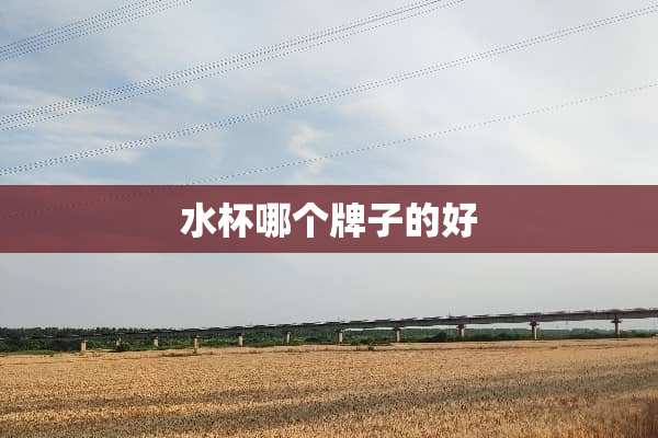 水杯哪个牌子的好
