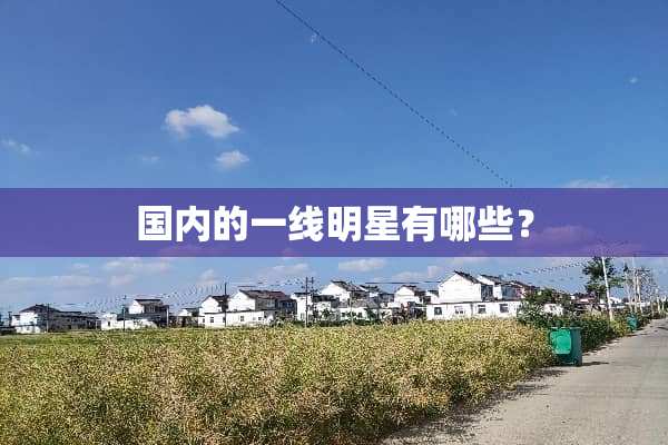 国内的一线明星有哪些？