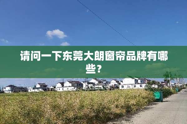 请问一下东莞大朗窗帘品牌有哪些？