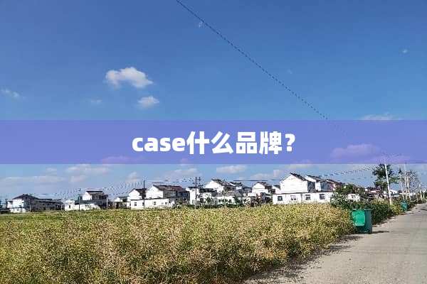 case什么品牌？