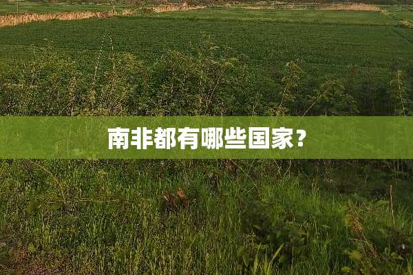 南非都有哪些国家？