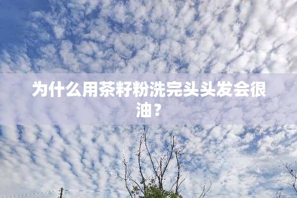 为什么用茶籽粉洗完头头发会很油？