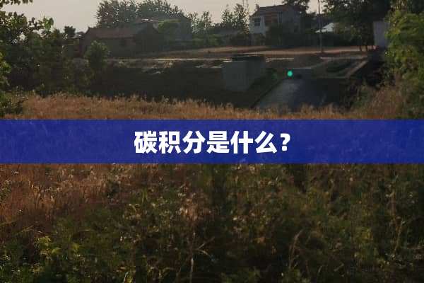 碳积分是什么？