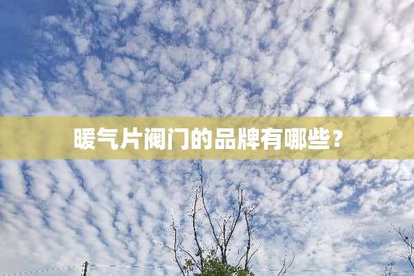 暖气片阀门的品牌有哪些？