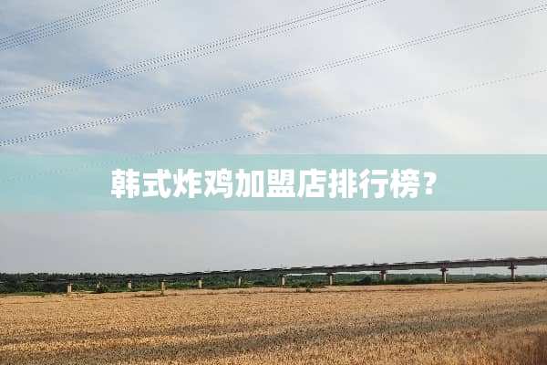 韩式炸鸡加盟店排行榜？