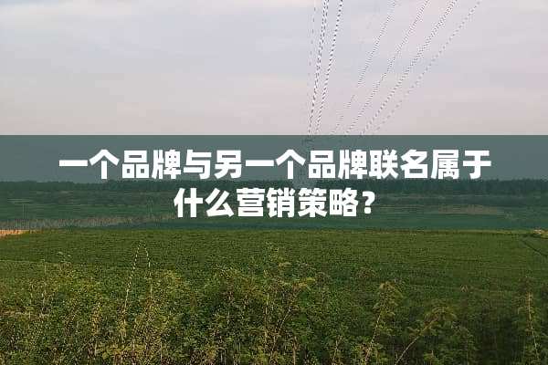 一个品牌与另一个品牌联名属于什么营销策略？