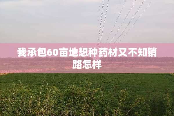 我承包60亩地想种药材又不知销路怎样