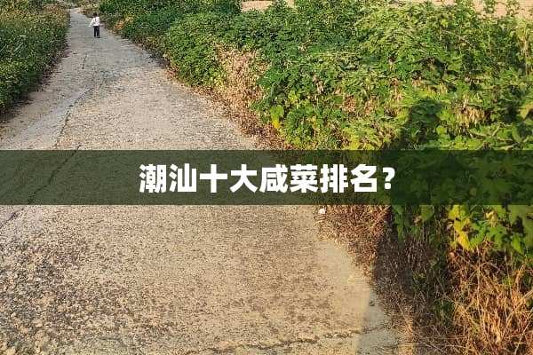 潮汕十大咸菜排名？