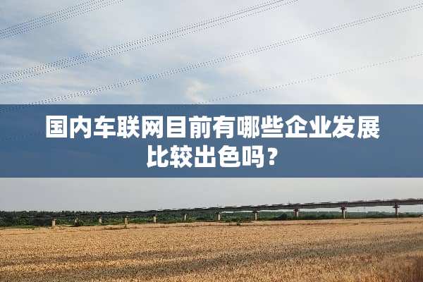 国内车联网目前有哪些企业发展比较出色吗？