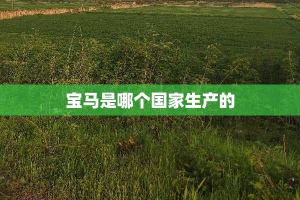 宝马是哪个国家生产的