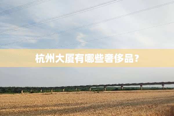 杭州大厦有哪些奢侈品？