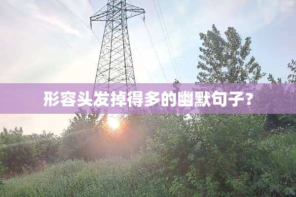形容头发掉得多的幽默句子？