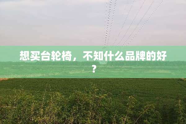 想买台轮椅，不知什么品牌的好？