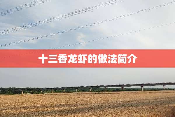 十三香龙虾的做法简介