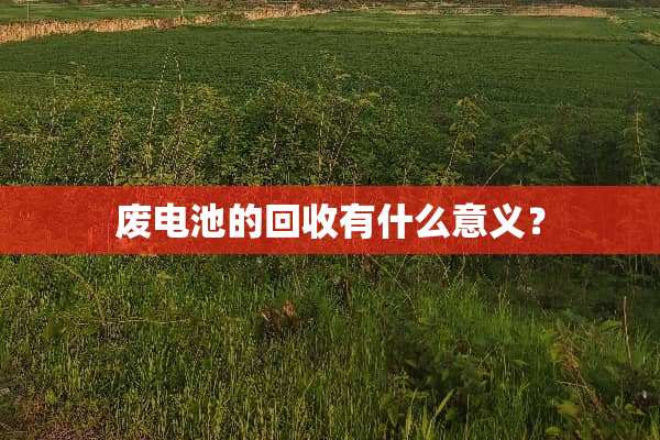 废电池的回收有什么意义？