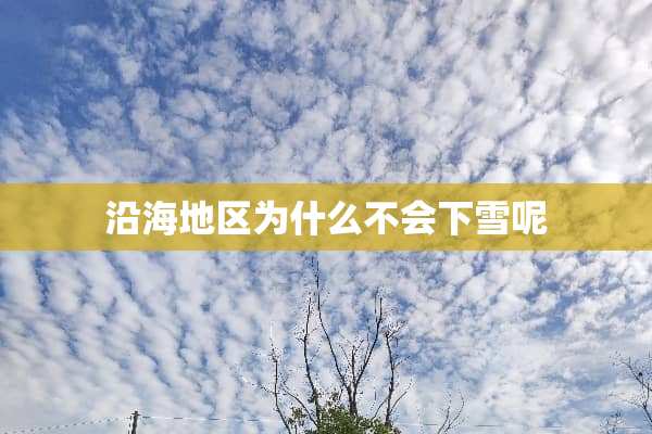 沿海地区为什么不会下雪呢