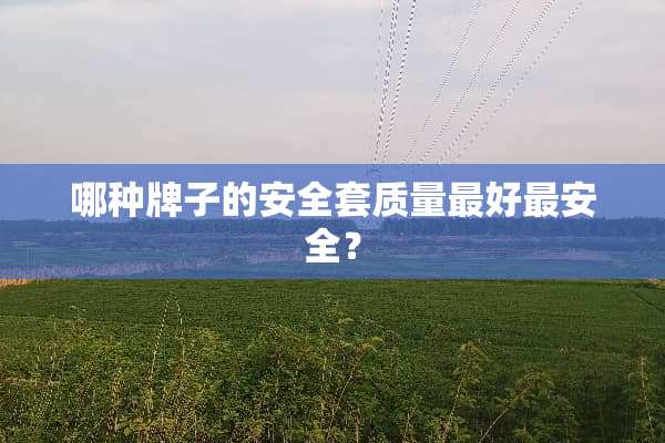 哪种牌子的安**质量最好最安全？