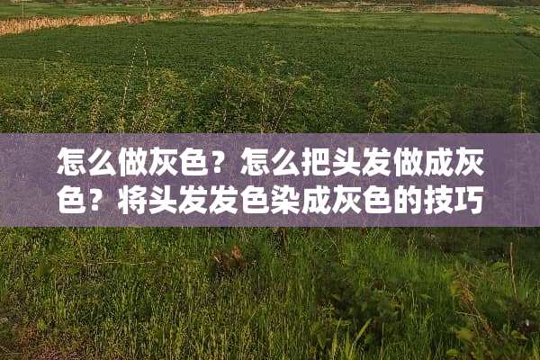 怎么做灰色？怎么把头发做成灰色？将头发发色染成灰色的技巧？