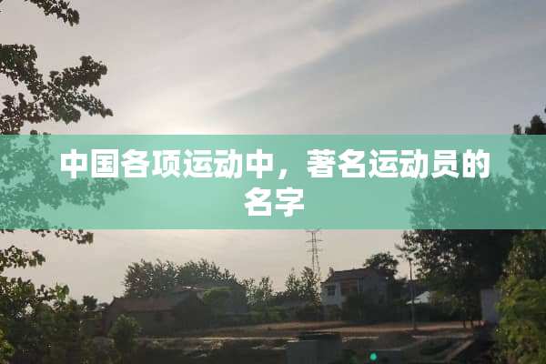 中国各项运动中，著名运动员的名字