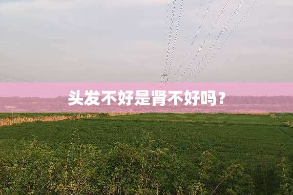 头发不好是肾不好吗？