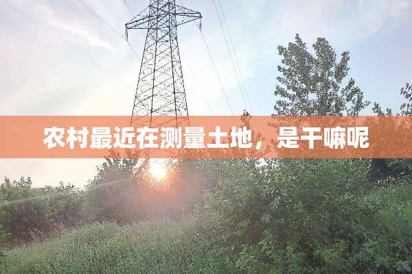 农村最近在测量土地，是干嘛呢