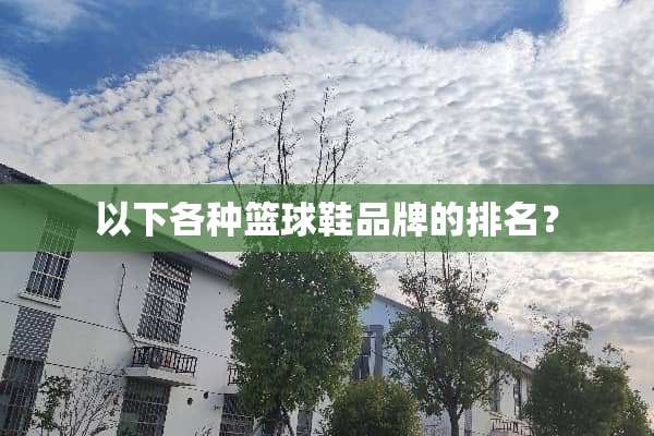 以下各种篮球鞋品牌的排名？