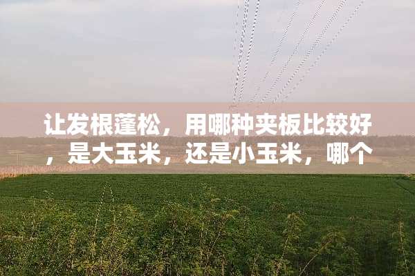 让发根蓬松，用哪种夹板比较好，是大玉米，还是小玉米，哪个持久？