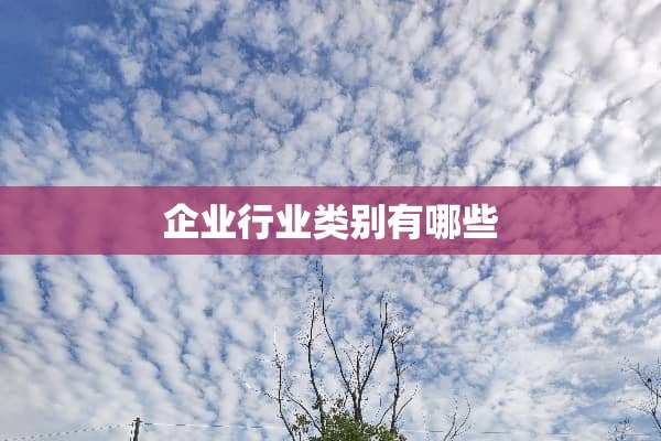 企业行业类别有哪些