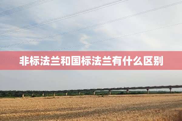 非标法兰和国标法兰有什么区别
