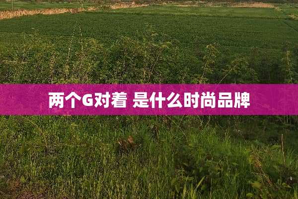 两个G对着 是什么时尚品牌
